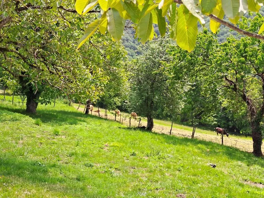 Maison Counord - Gite Pour 8 Personnes Latouille-Lentillac Prázdninový dům